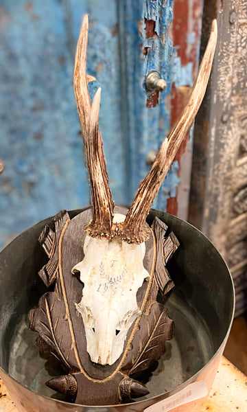 Roe Deer Antler Plaques