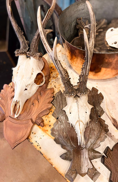 Roe Deer Antler Plaques