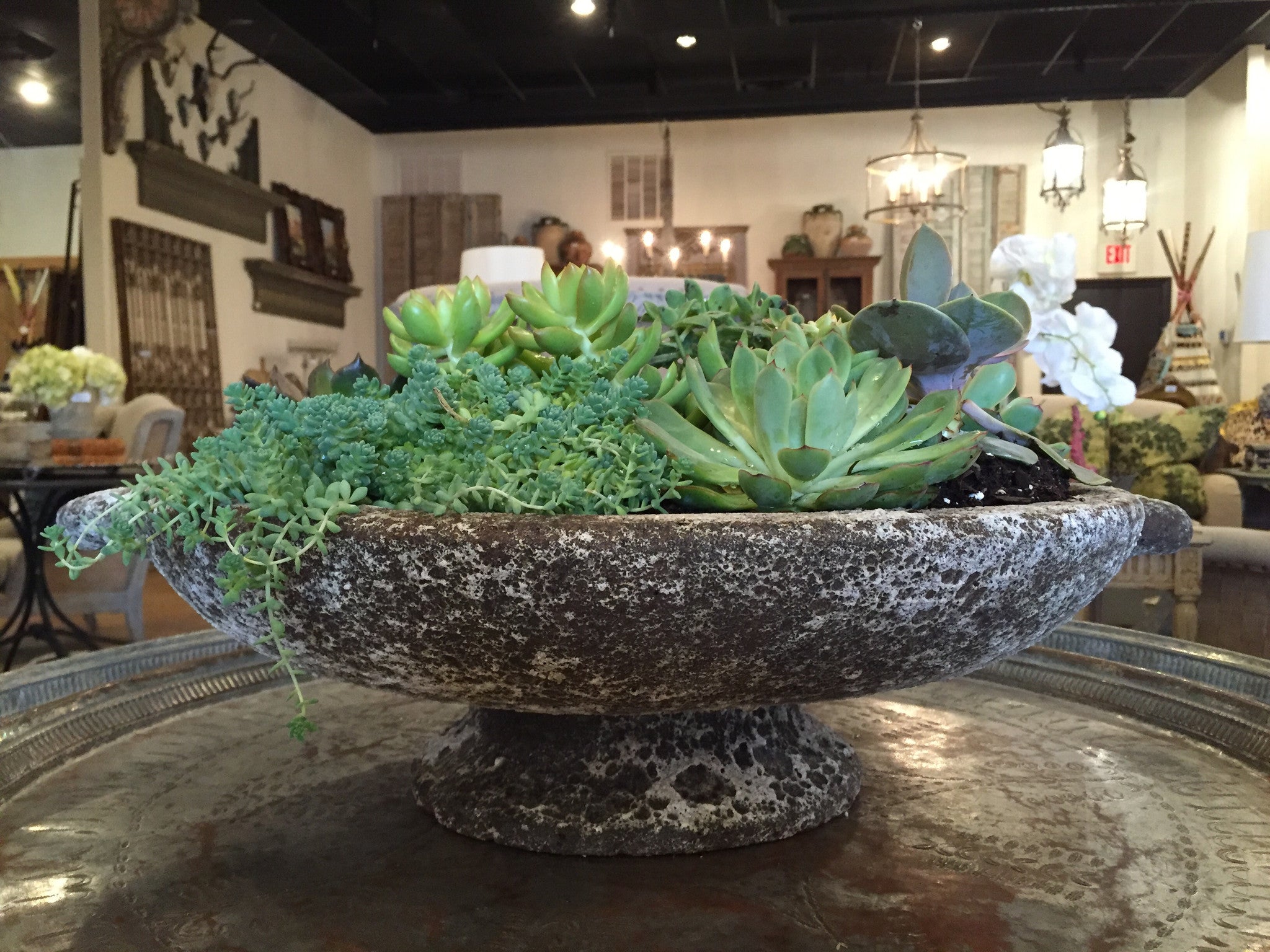 Concrete - Cecilio Planter