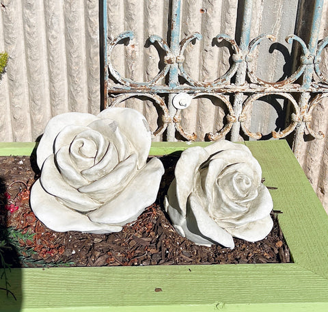 Concrete Rose - Lg