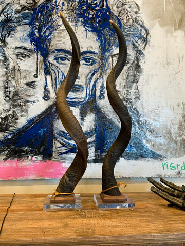 Horn on Acrylic Base - Brown