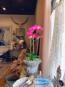 Hot Pink Orchid 29" drop in