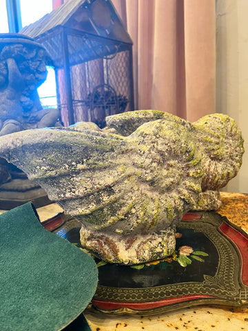 Terracotta Nautilus