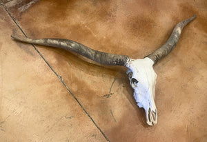 Watusi Skull