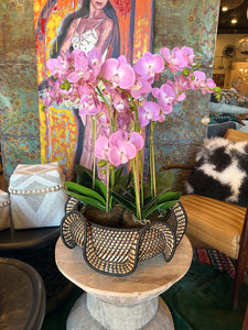 Orchid 30'