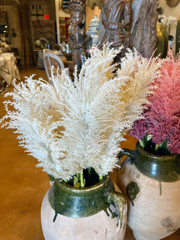 Pampas Grass - Stem White