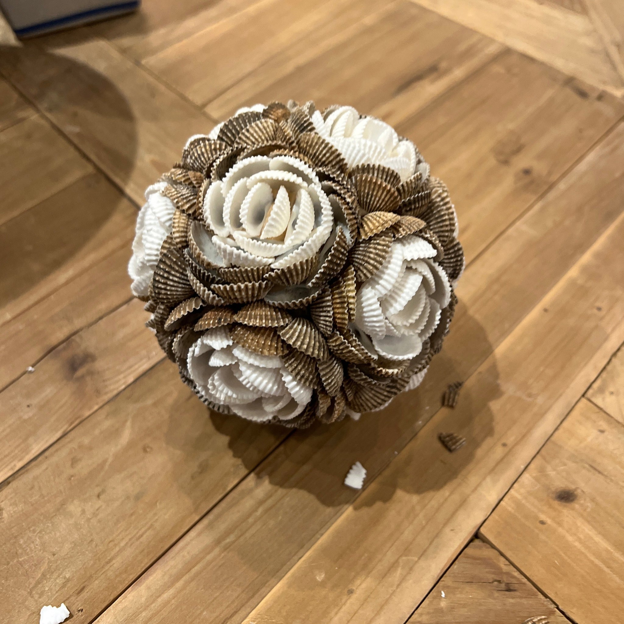 Sea Shell Ball Small