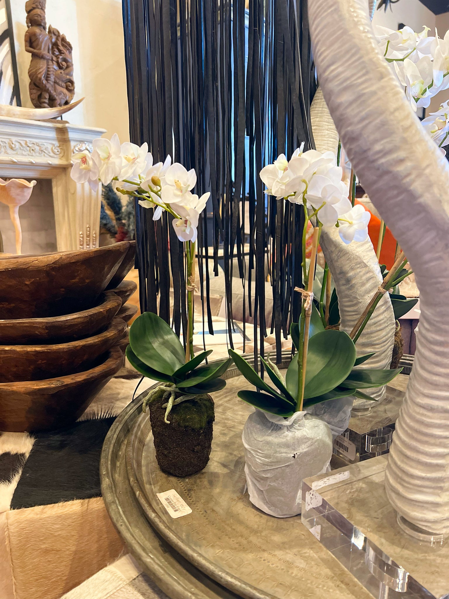 Orchid 17'