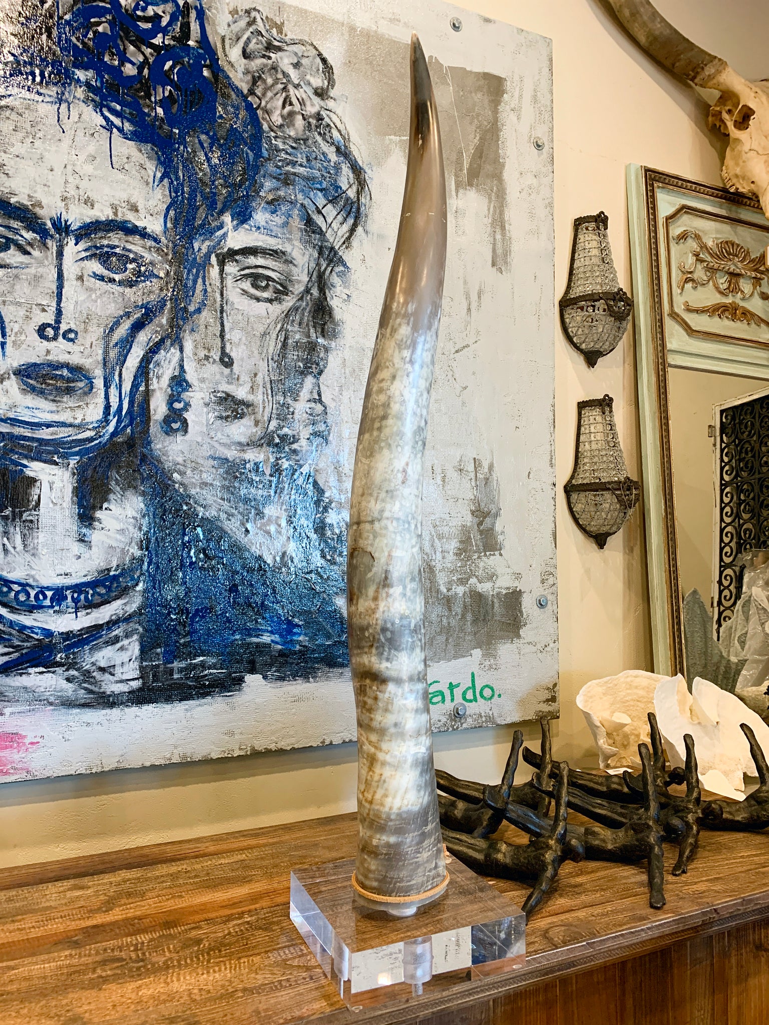 Steer Horn on acrylic base X-large