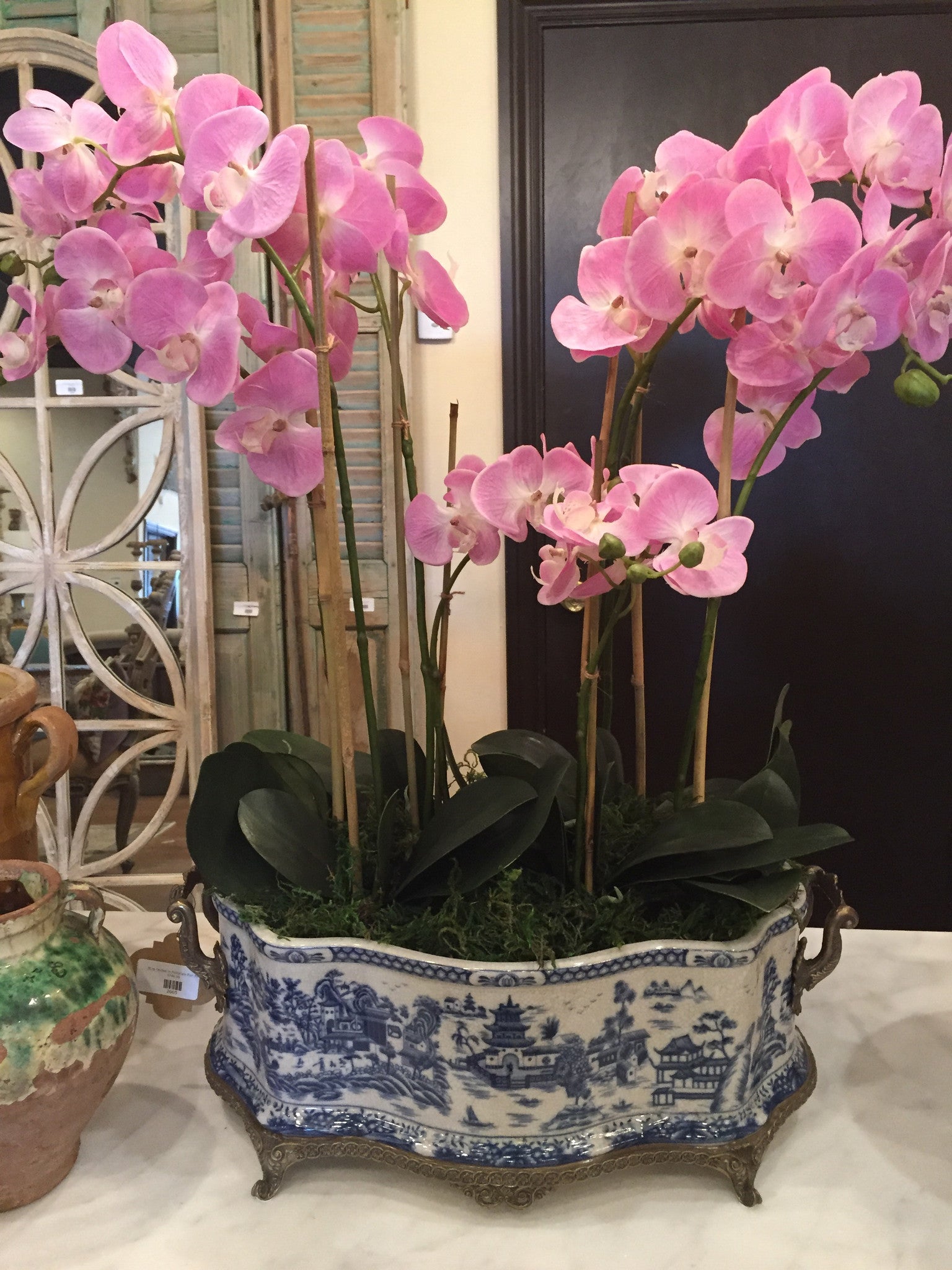 XLrg Orchid in Porcelain Pot: Pink
