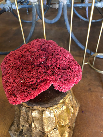 Coral