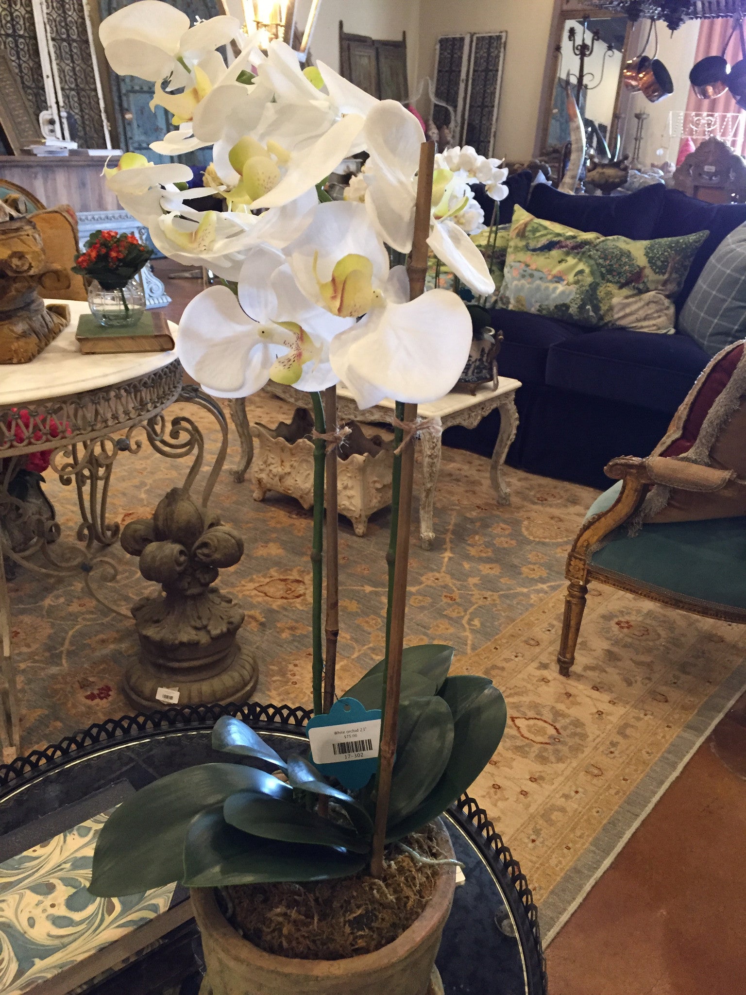 White orchid 23"- 2 stem