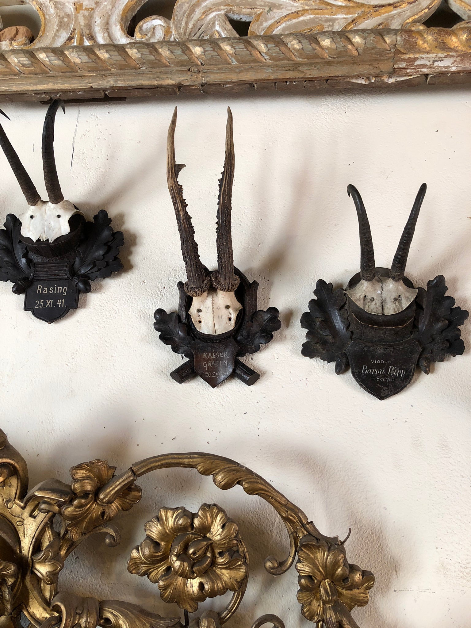 Antler- Antique, signed