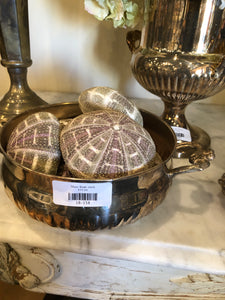 Silver Bowl-med.