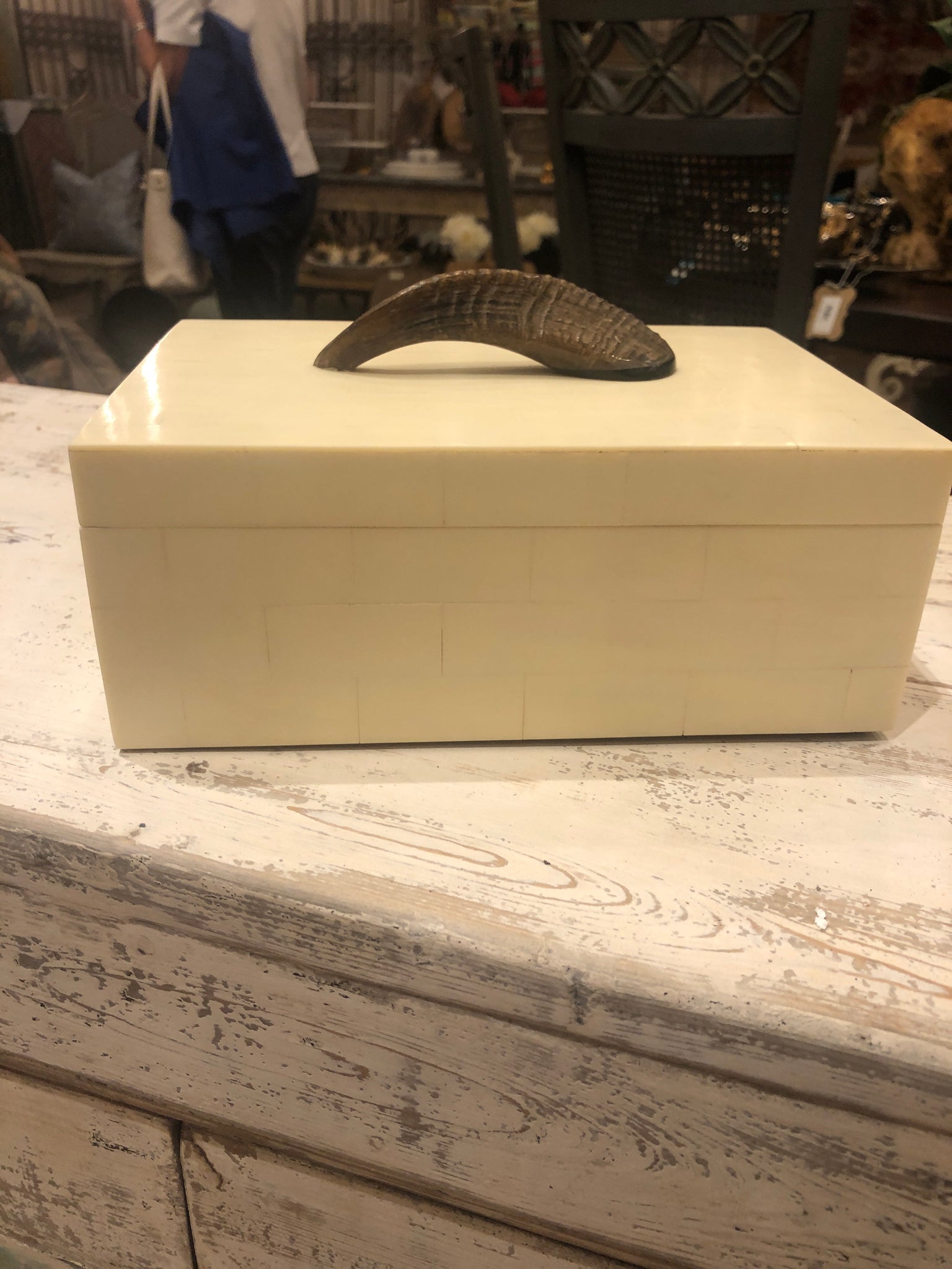 Bone Box with Horn-large