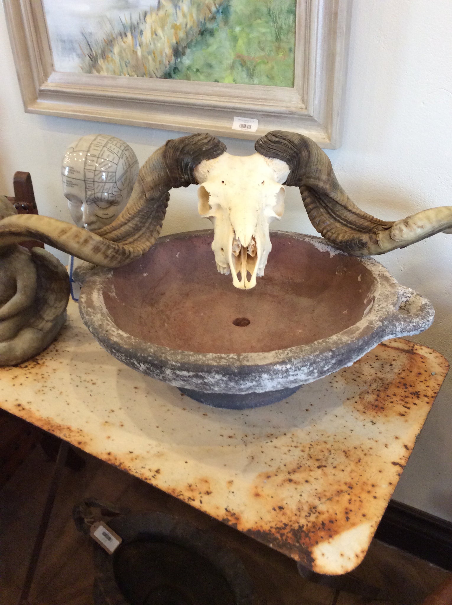 Ram Skull