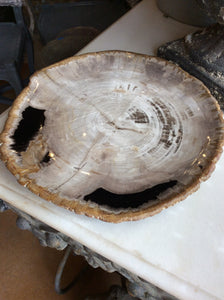 Petrified Wood Plate-small
