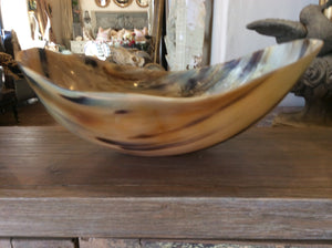 Cow Horn Bowl- med.