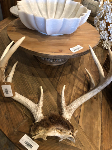 Deer Antlers