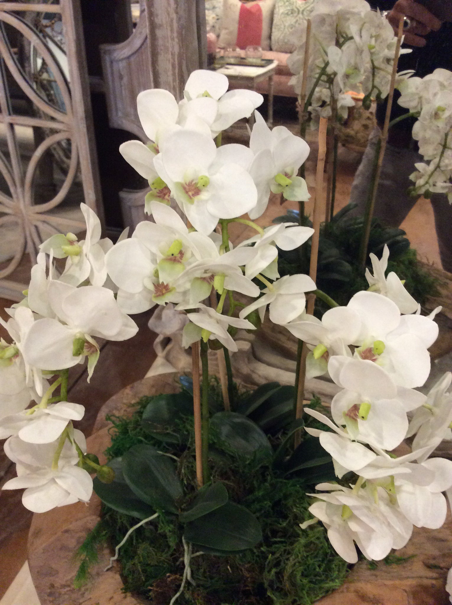 Orchids-small 3 stem