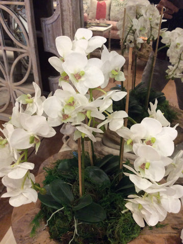 Orchids-small 3 stem