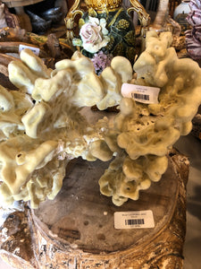 Green Coral - med.