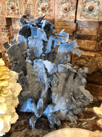 Coral- Blue