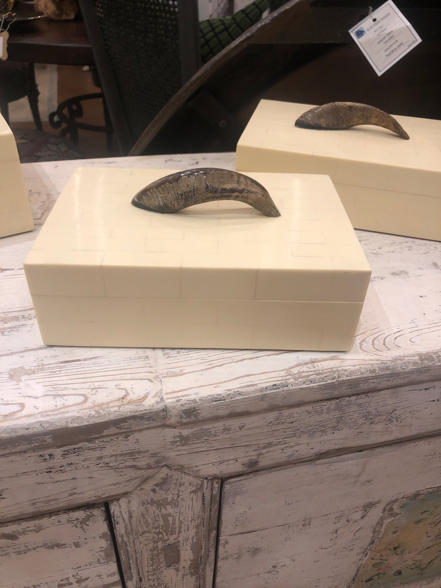Bone Box with Horn-medium